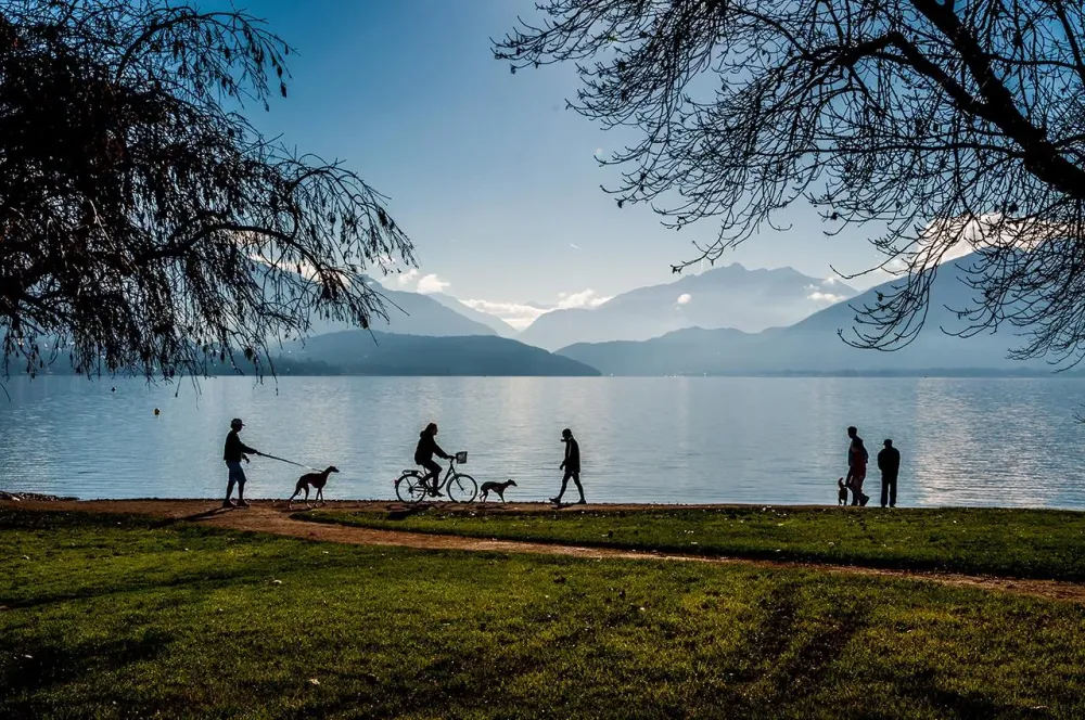 lac (2)